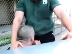 Daddy's Outdoor Lunch Break Blowjob