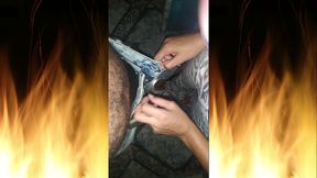 oral sex with the delivery man as a form of payment!