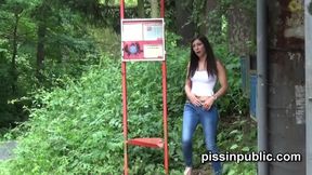Public pissing