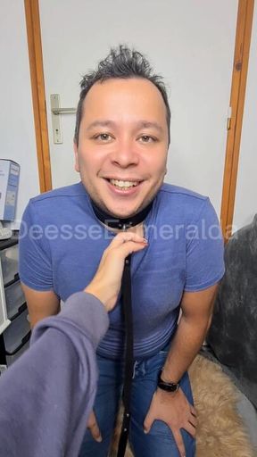 Un bon chien dressé 🐶