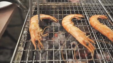 (ig:326n.h)Camping Expedition in the Summer of 2023