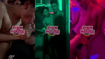 Pinkhouseproduction - update #30 - VID-20240804-WA0008 - Aug 13, 2024