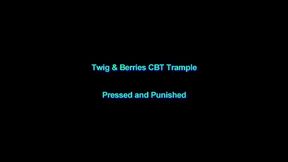 Pressed and Punished