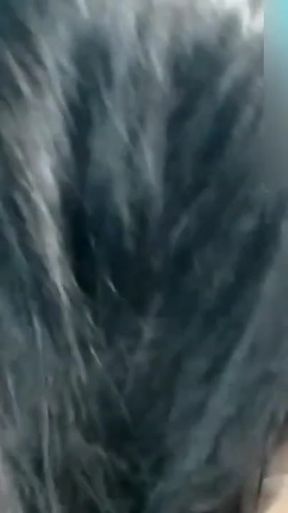 Epic moment from "Randi part3 ( all part my channel pls subscribe my channel)"