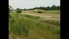 Oltraggio al pudore