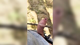 Woods Urinate Break: A Man’s Tale