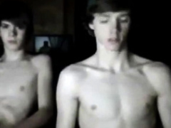 Brothers in skype