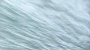 ”Randy Amateurs Doesn't Mind Fucking In Public”