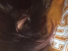 Mixed Girl Cheats On Boyfriend With BBC In Car