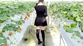 Mayu No.