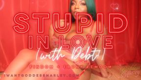 Stupid In Love (with Debt!)