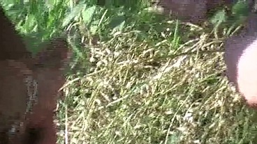 baisé par un inconnu en exhib à toulousetrop de bon de rencontrer ce mec tbm...