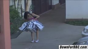 ”Black Python Destroys Tristan's Kingsley”