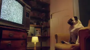 BENFIT MONKEY: We were in the middle of recording but we couldn't resist the desire - P2