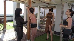 MISTRESS GAIA - CANING BABES - HD