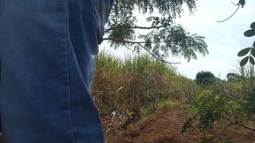 fodeno com meu cunhado no mato