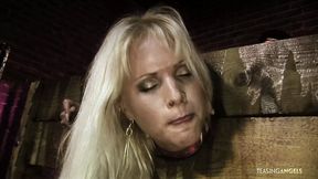 Blonde beauties' anal&#x1F44C; and vaginal pleasure savagely explored