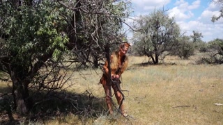 Shy  Aboriginal