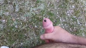Stroking my pierced cock with cumshot in the woods