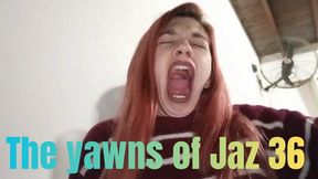 The yawns of Jaz 36