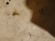 Flooding the garage floor with desperate piss - ftm