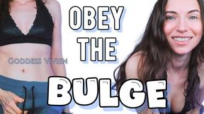 Obey the Bulge Goddess Dick Futanari with Femdom Goddess Vivien