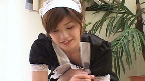 Appealing maid sucking her boss' short cock like tasty lollipop