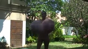 LAS TETONAS DE FARANG DING DONG-DengPink2 (PORNO OPPAI TETONAS HENTAI)