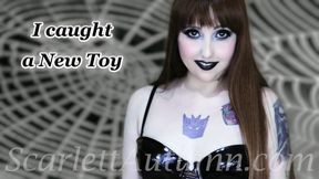 The Spider Lady's new toy