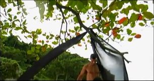 This brown hole loves the tropical islands