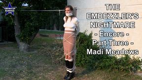 The Embezzler's Nightmare - Encore - Part Three - Madi Meadows - 4K