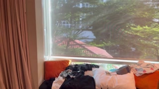 Skinny Pinay student Lulu Wild needed the money an fucked stranger in Singapore hotel