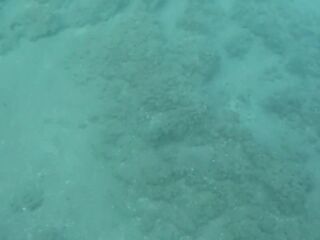 Blue water, ebony swimsuit, glamorous legs