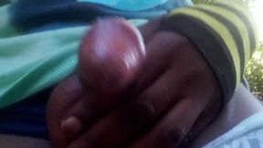 Black Ebony Tranny Cocks Flashed Publicly POV Shocks Strangers
