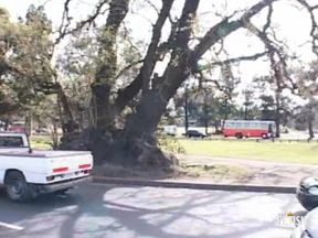 Horny man gets cum in mouth after rough anal sex in the van with two guys