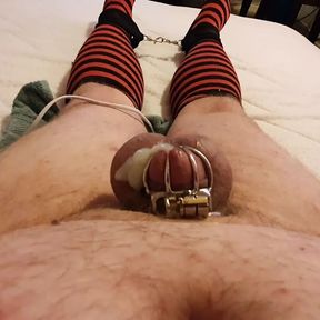 chubby sissy gets to wand in chastity