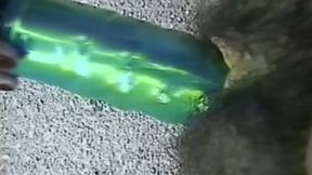 Seductive Brunette Babes Finger and Bottle Fuck Passionately