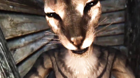 Oral Pleasure & Doggystyle In Skyrim Porn Parody