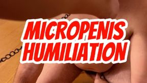 Micropenis Humiliation