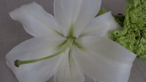 Let's crush the flowers into shreds