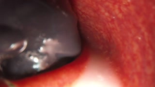 Internal Camera Bad Dragon Flint Cumming in my Ass