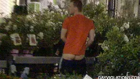 Steamy Garden Rendezvous: Two Twinks Ignite Hot Summer Lust – GayRoom