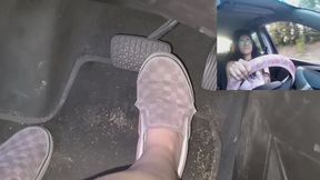 Daisy's Muddy Misadventures-looking for the lake