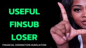 Useful Finsub Loser