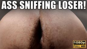 KingMarti: Ass Sniffing Loser - Full HD 1080p - MOV