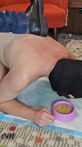 Ready for Your Lunch