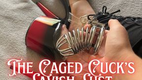 The Caged Cuck’s Lavish Lust (ASMR)