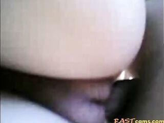 malay- kat kebun durian