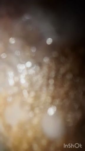 Amateur Meaty Pussy Solo Orgasms #DaPussyQueen👑