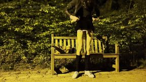 Femboy Fucks Himself in Public